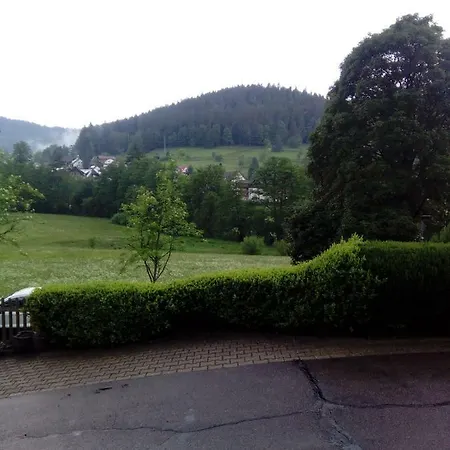 Lejlighed Haus Rentschler Enzklösterle